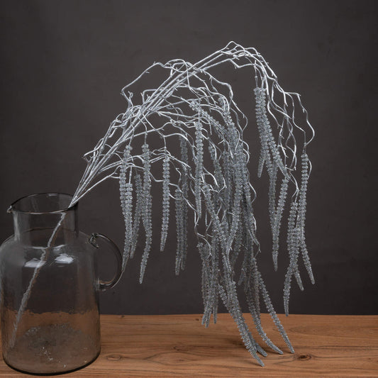 Silver Amaranthus